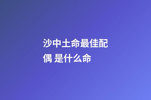 沙中土命最佳配偶 是什么命